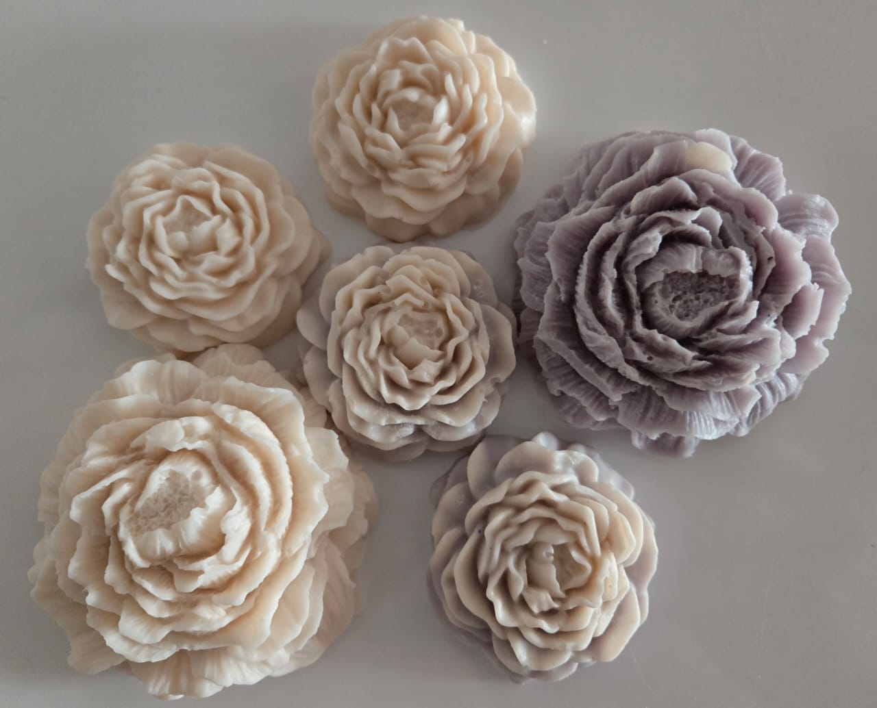 Peonias abiertas XL - Imagen 1